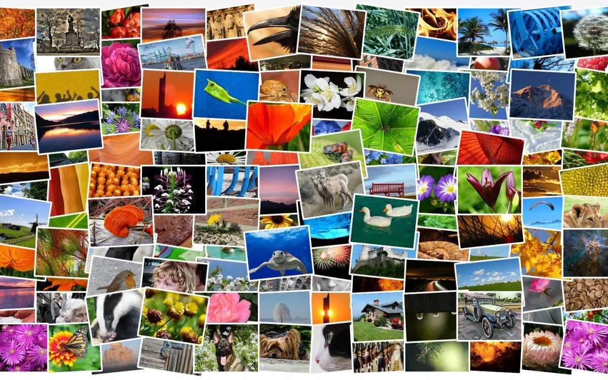 online photo shape collage maker online photo shape collage maker