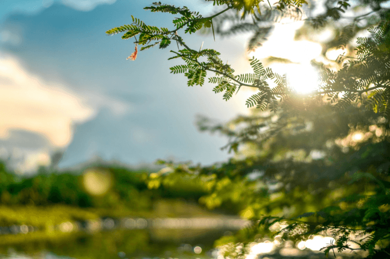3 Quick & Free Ways to Blur a Photo | 2021 Updated 3 Quick & Free Ways to Blur a Photo | 2021 Updated