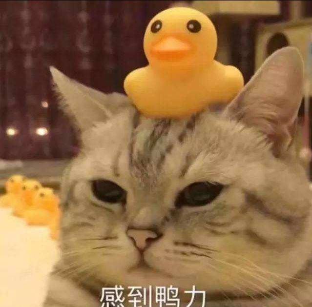 wechat stickers happy birthday chinese wechat stickers happy birthday chinese