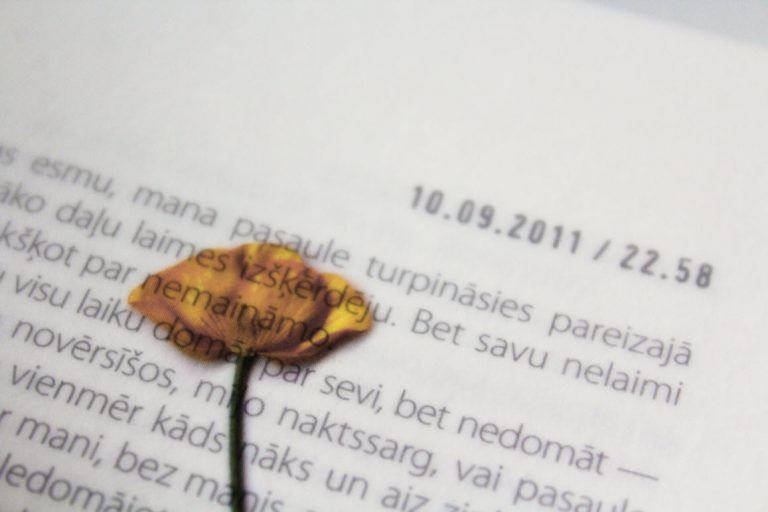 Coupons & Deals 2020 | Babbel, Pimsleur, Rocket Languages, Rosetta Stone Coupons & Deals 2020 | Babbel, Pimsleur, Rocket Languages, Rosetta Stone