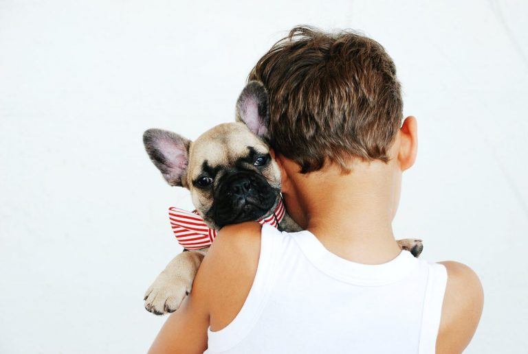 25% Off Pet Wellbeing Coupon, Promo Codes & Sales