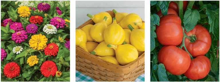 Sep 2023 – 20% Off Burpee Coupons [1005 Working]