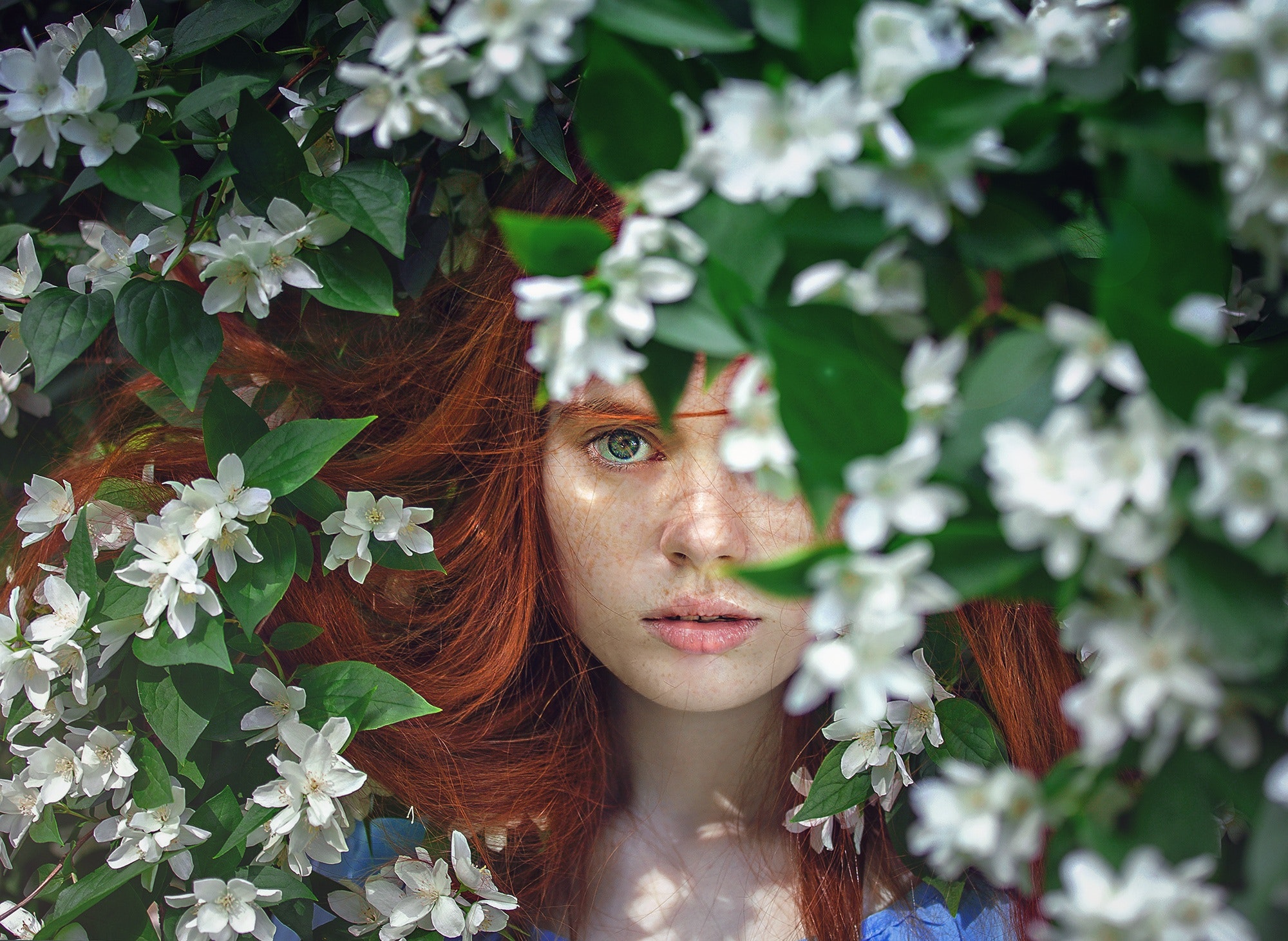 Aveda Coupon & Promo Code 20 Off in 2024 Super Easy