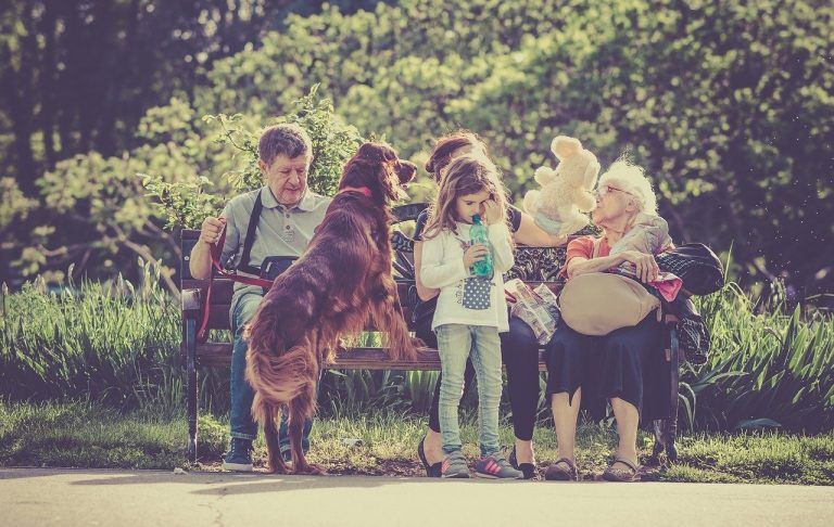 Up to 50% Off 1-800-PetMeds Offer Codes – September 2023