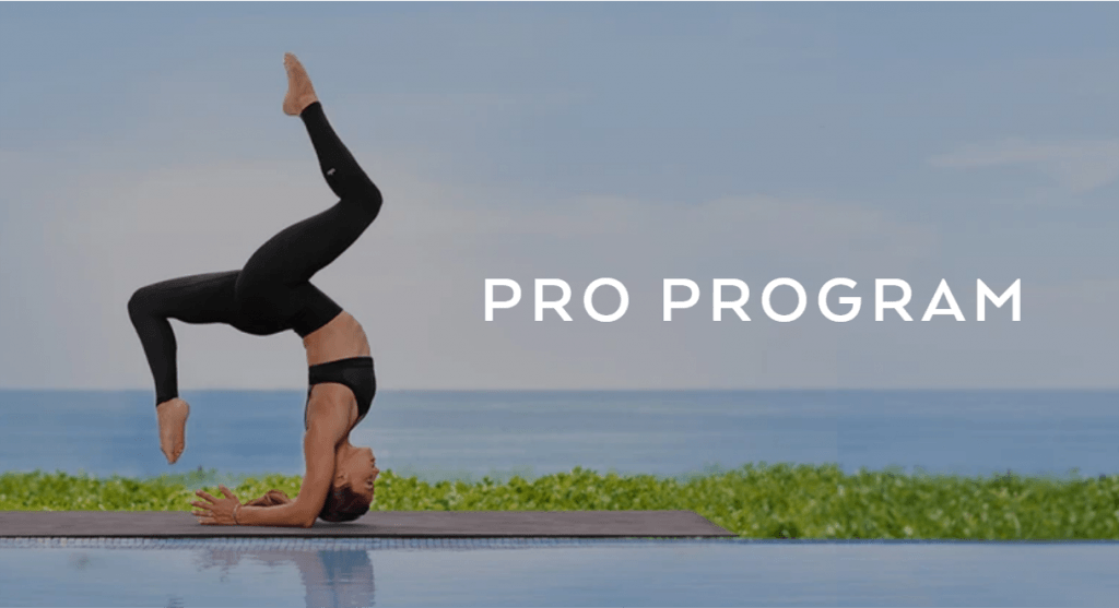 Alo Yoga Pro Program