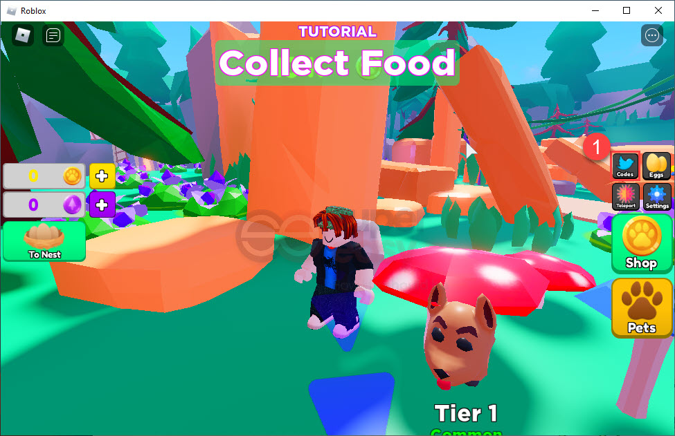 All codes collect pets Roblox Collect