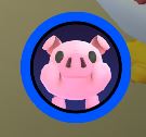 pig profile badge