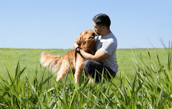 Petco Promo Code for Existing Customers June 2022