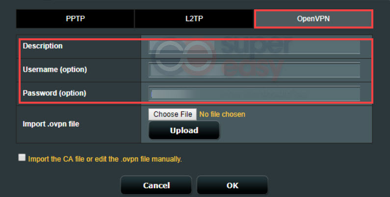 ASUS router fill in the fields under the OpenVPN tab
