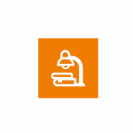 How to get Chegg answers for free