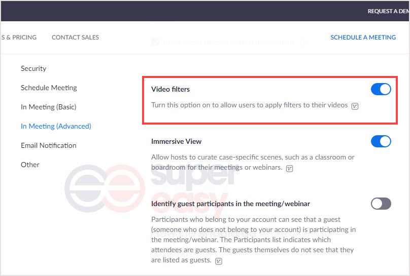 zoom video filters not showing zoom video filters not showing