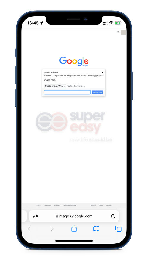 Google image search Safari