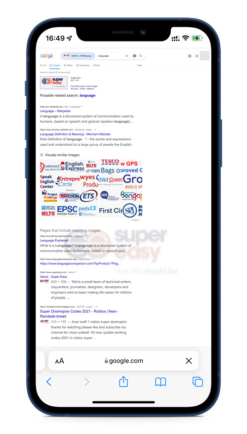 Google images search results