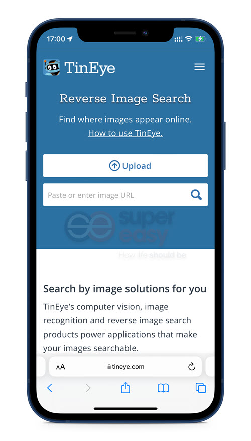 TinEye reverse image search Safari