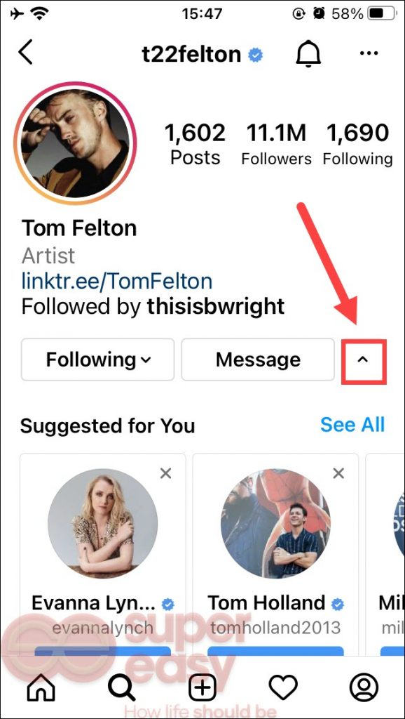 instagram user search