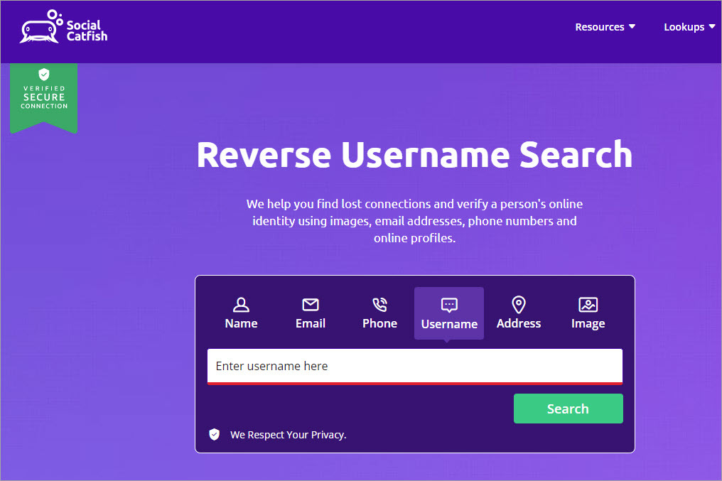 Social Catfish username search