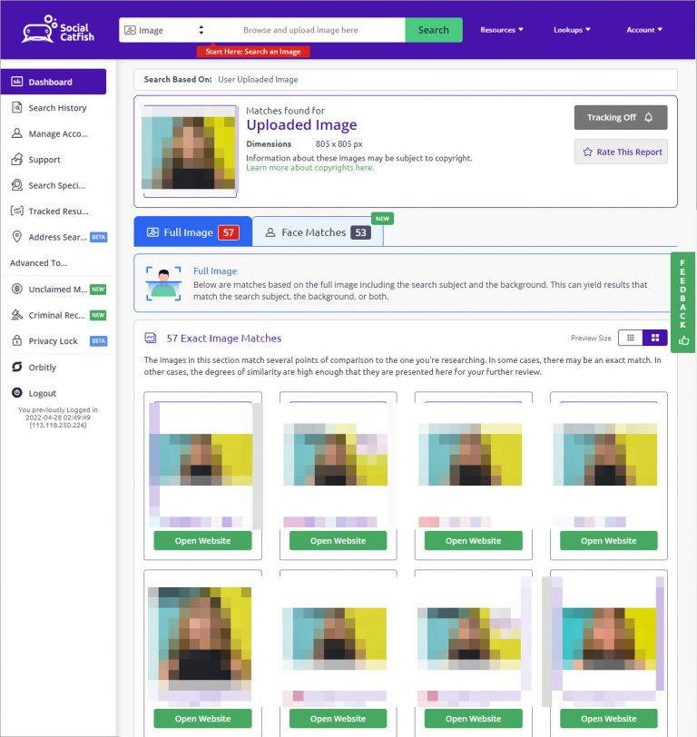Report from Social Catfish