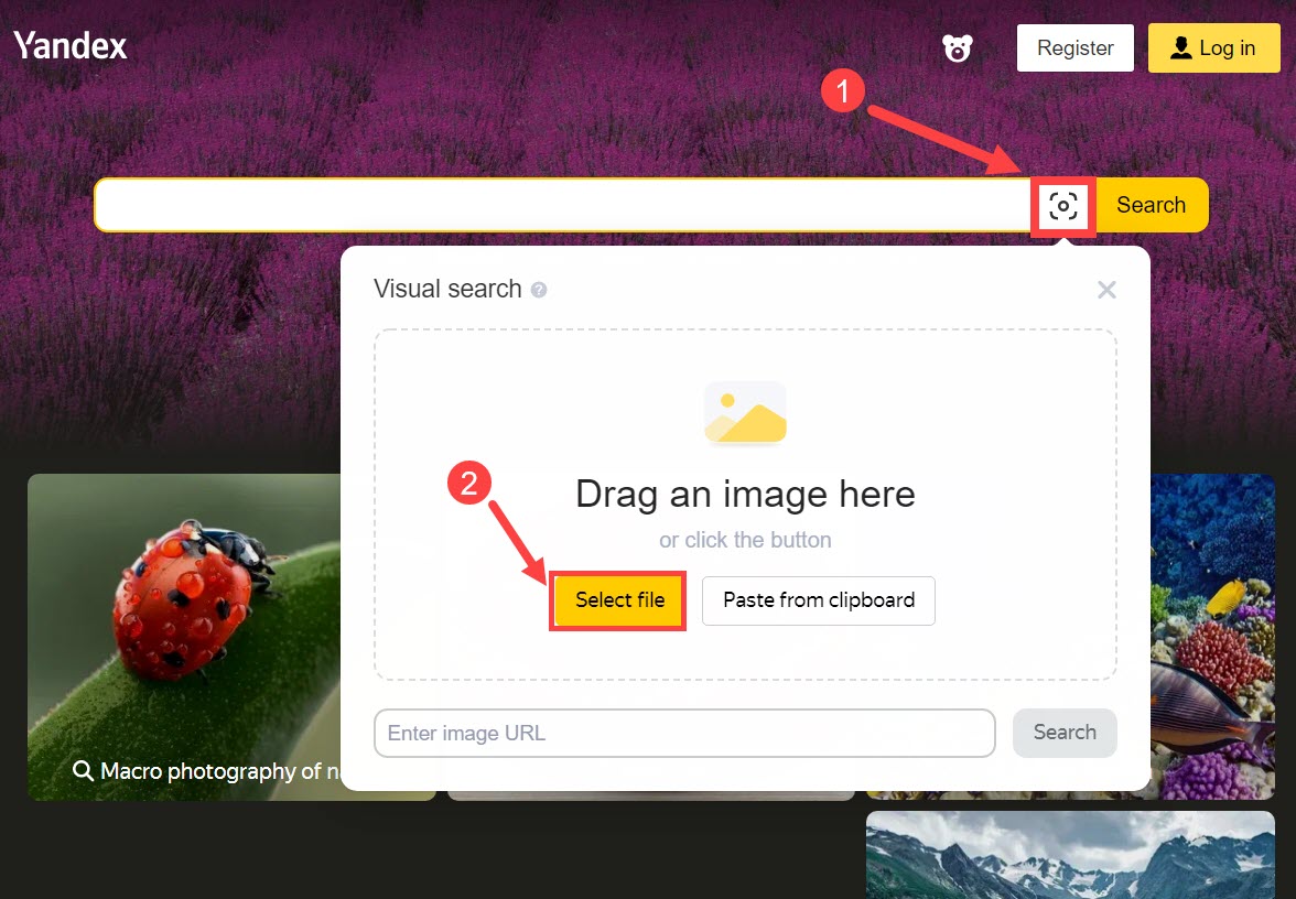 yandex image search 1