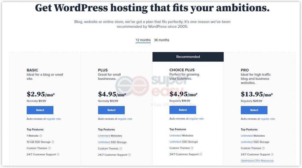 Bluehost wordpress hosting plans