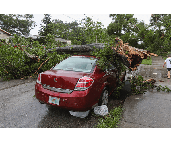 Salvage Title Check: How to Find Out If a Car Is Salvage Salvage Title Check: How to Find Out If a Car Is Salvage