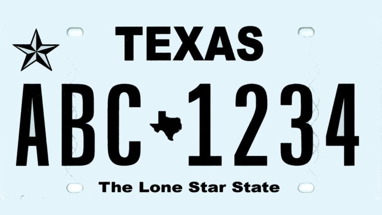 Texas License Plate Lookup 2023 Report