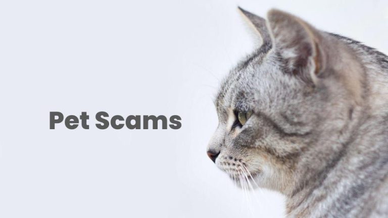 2024 Pet Scams | How to Spot and Avoid Easily
