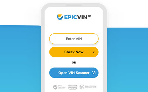 epicvin report epicvin report