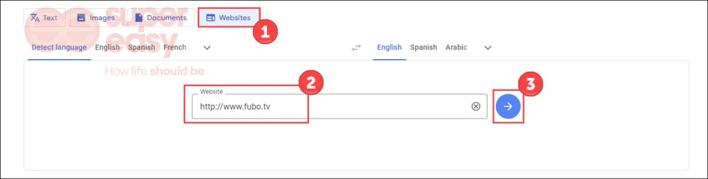 Screenshot from translate.google.com