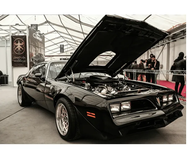 VIN Lookup for Classic Cars (2025)