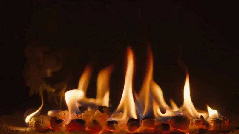 AI Video Generator: Create Videos from Text, Images & More